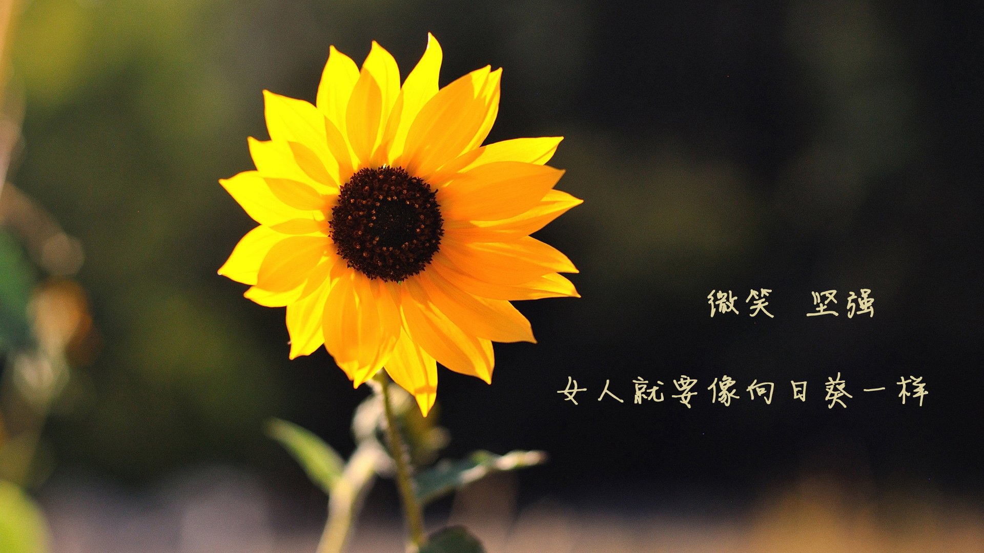 《Ning宣布退出职业电竞,写下电竞生涯的句点》,电竞游戏选手什么时候退役