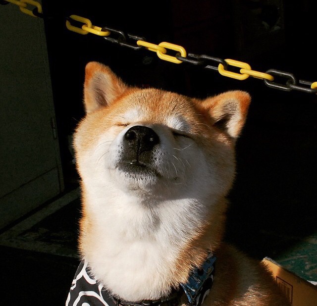 亚历山大·萨尔(Alex Sarr)被华盛顿奇才队选中,亚历山大萨瑟兰尼尔