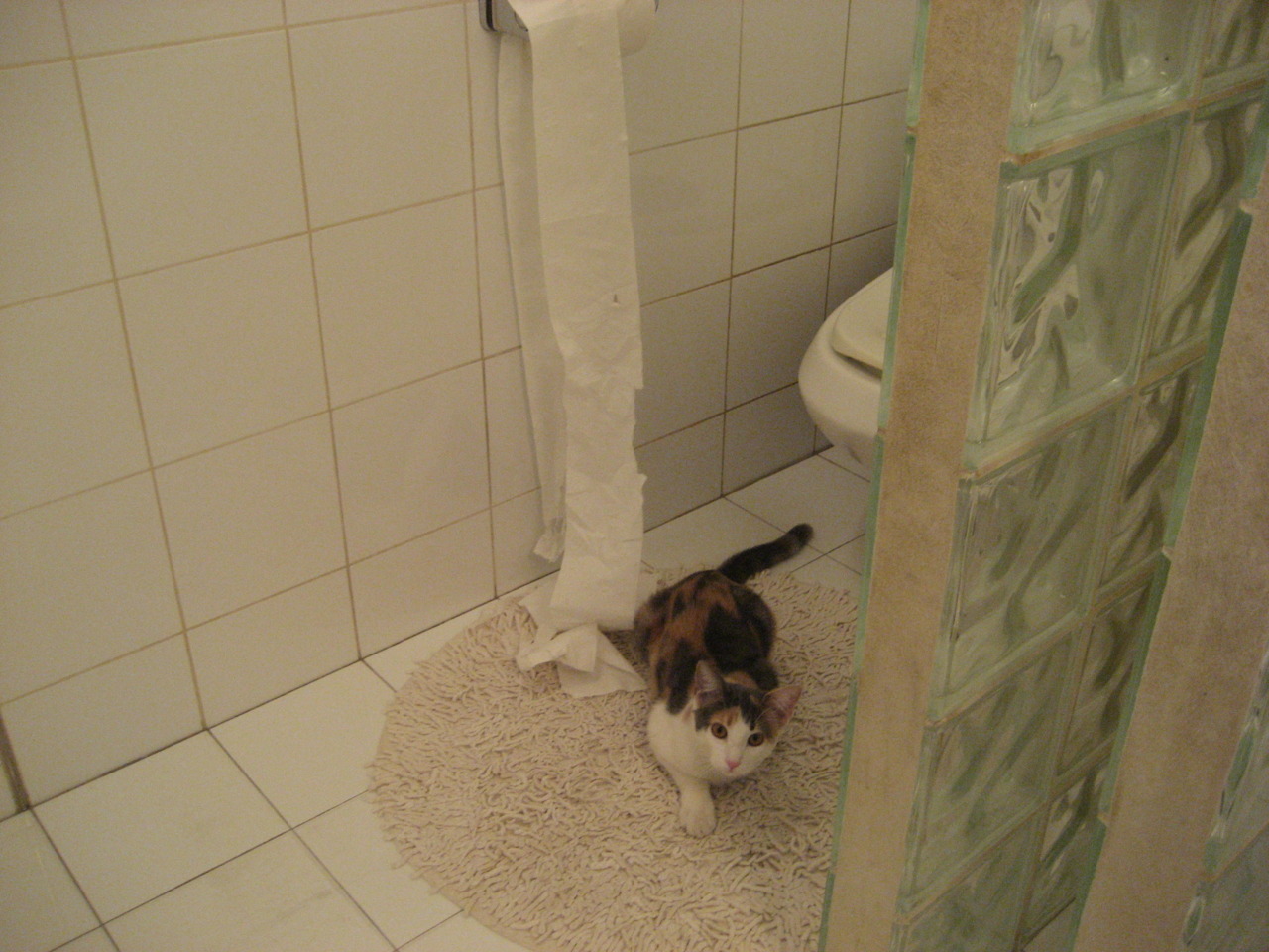 亚历山大·萨尔(Alex Sarr)被华盛顿奇才队选中,亚历山大萨瑟兰尼尔