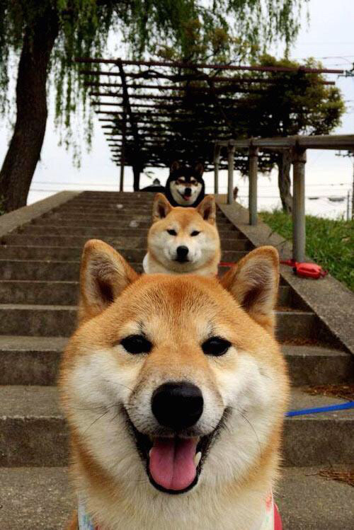 “意甲疯狂追分,争冠战火升腾”,意甲集锦2021