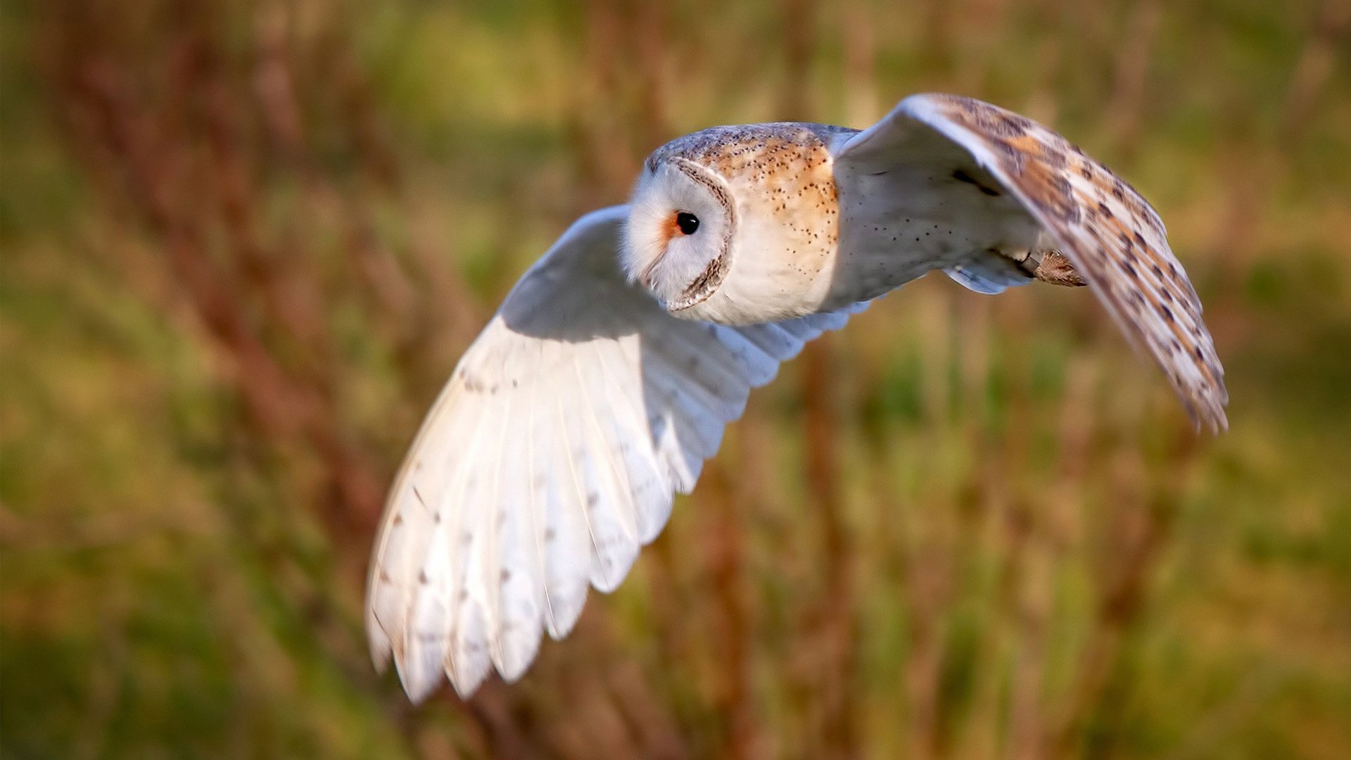 “最佳突破：那些让人惊叹的单勇穿越线路”