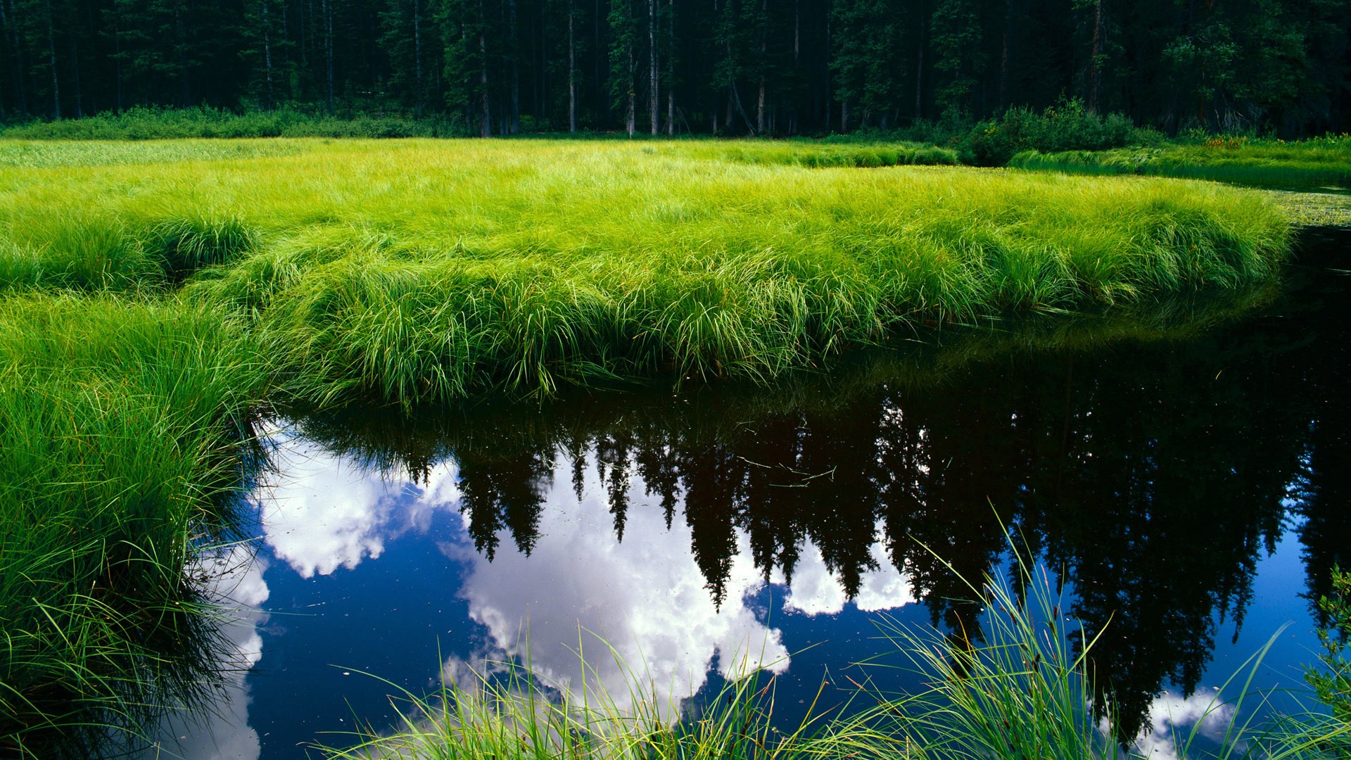 九游电脑版-“跃山飞跃：悬崖与荒原的极速震撼”，飞跃山丘