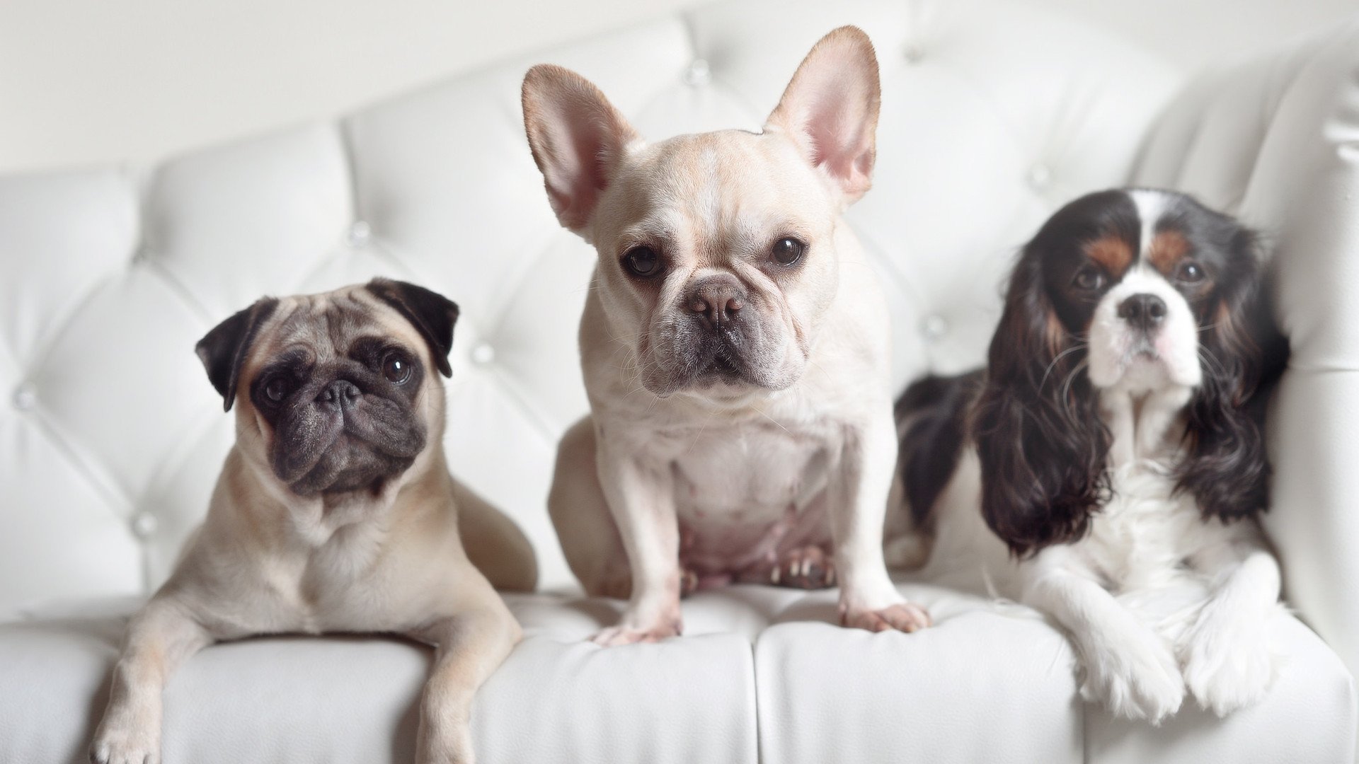 九游网游官网-“青训合作基地在偏远地区落成，点亮乡村足球梦”，青训训练营是什么