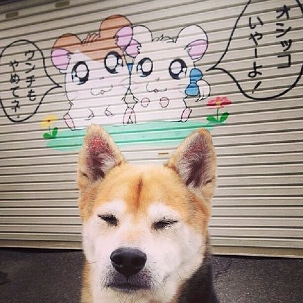 九游娱乐APP-《虚拟现实（VR）或引领电竞行业新潮流，行业专家最新分析》，虚拟现实vr技术,简单说是让人进入一个虚拟环境