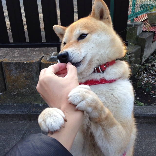 《虚拟竞技场:电竞场馆数字化转型进行时》,虚拟竞技场3