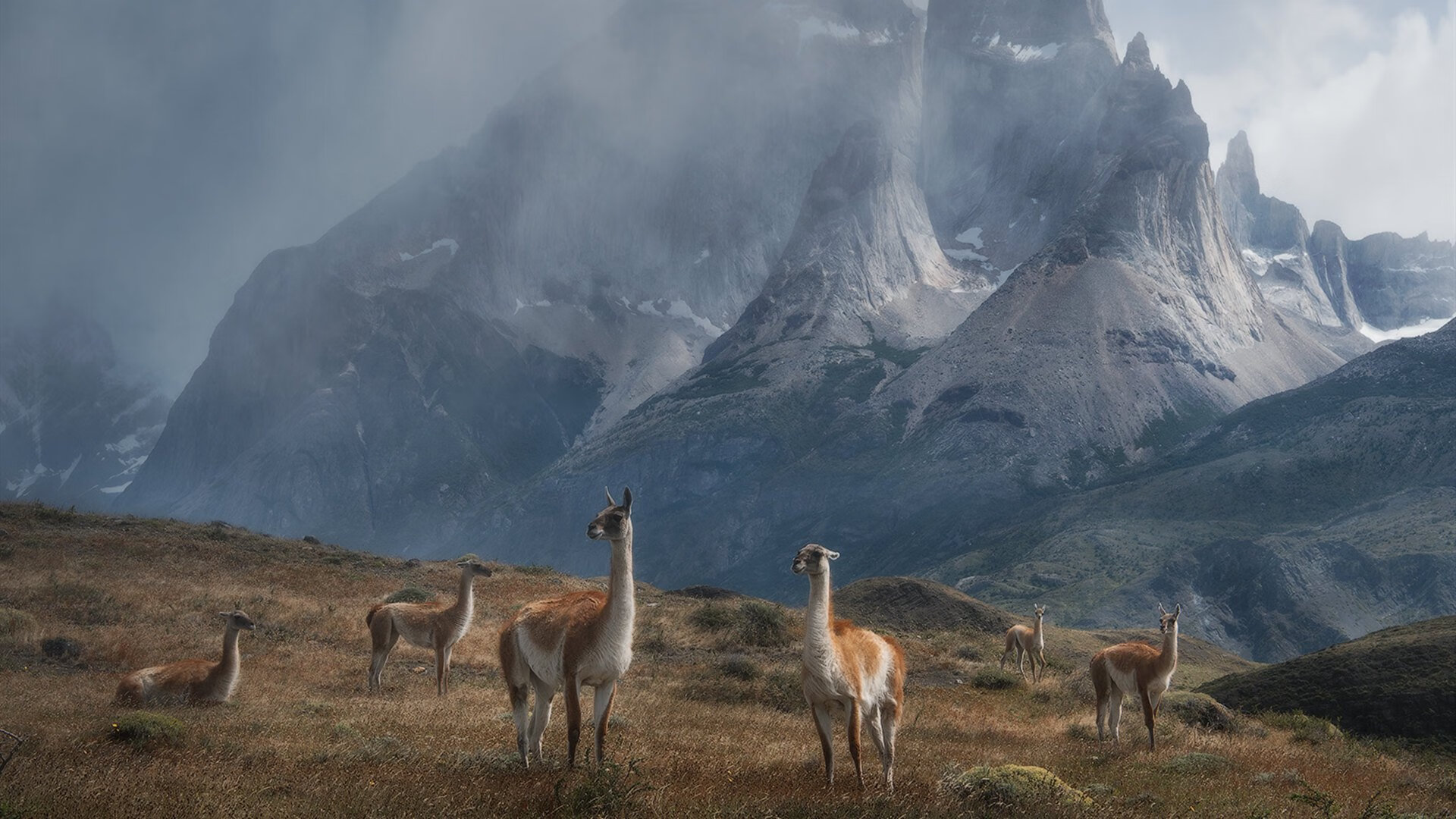 【名将话题】马克·塞尔比:我如何利用防守赢得比赛,马克塞尔比的球杆