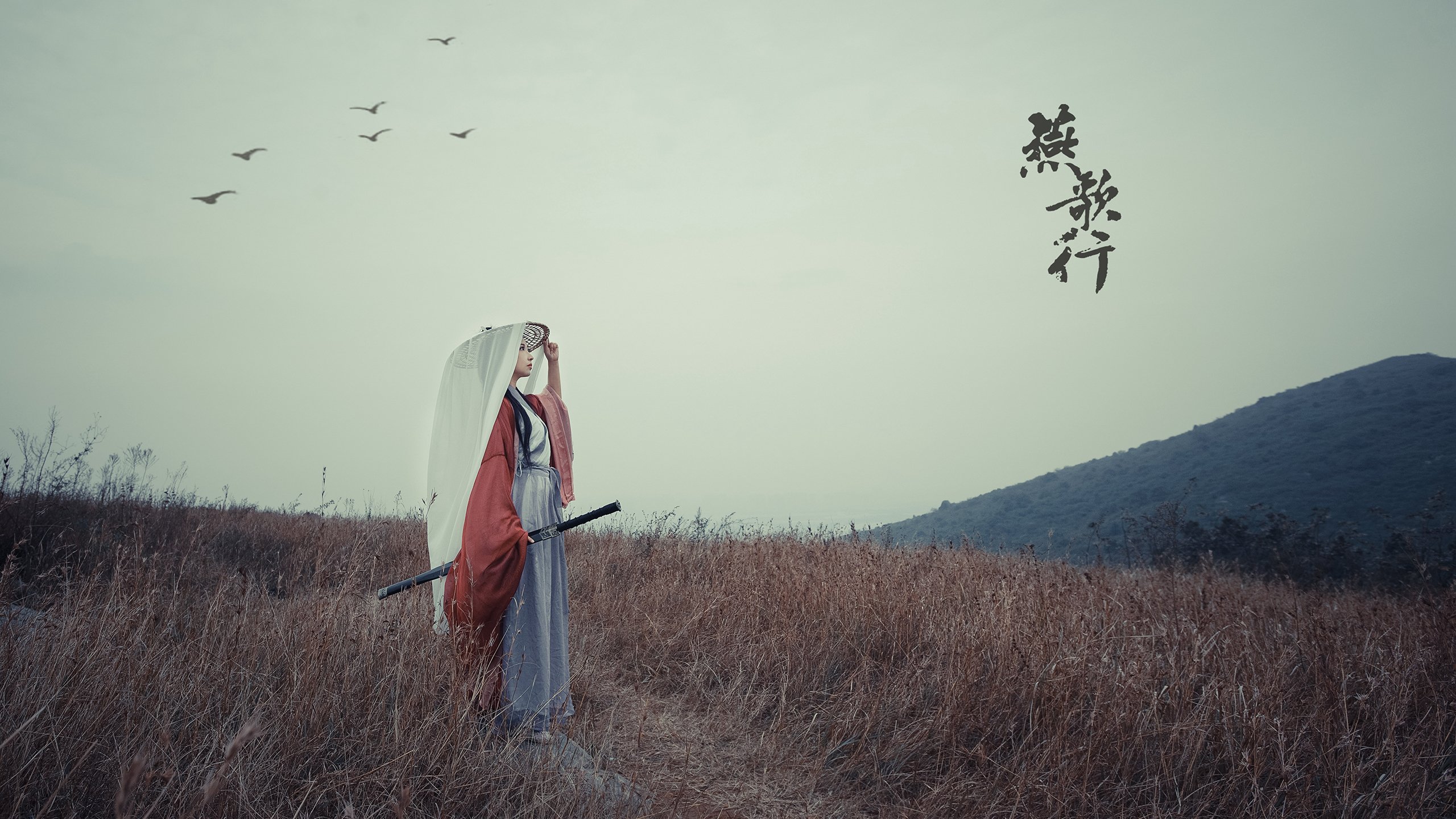 【哈珀的火热状态】费城明星稳定输出全垒打,哈珀dc