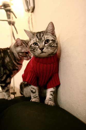 九游网页版官网-世界水上摩托冠军赛，极速漂移展现极限速度，水上摩托比赛