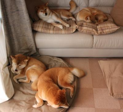 世界登山巡回赛，攀登者梦想的极限舞台，登山赛2