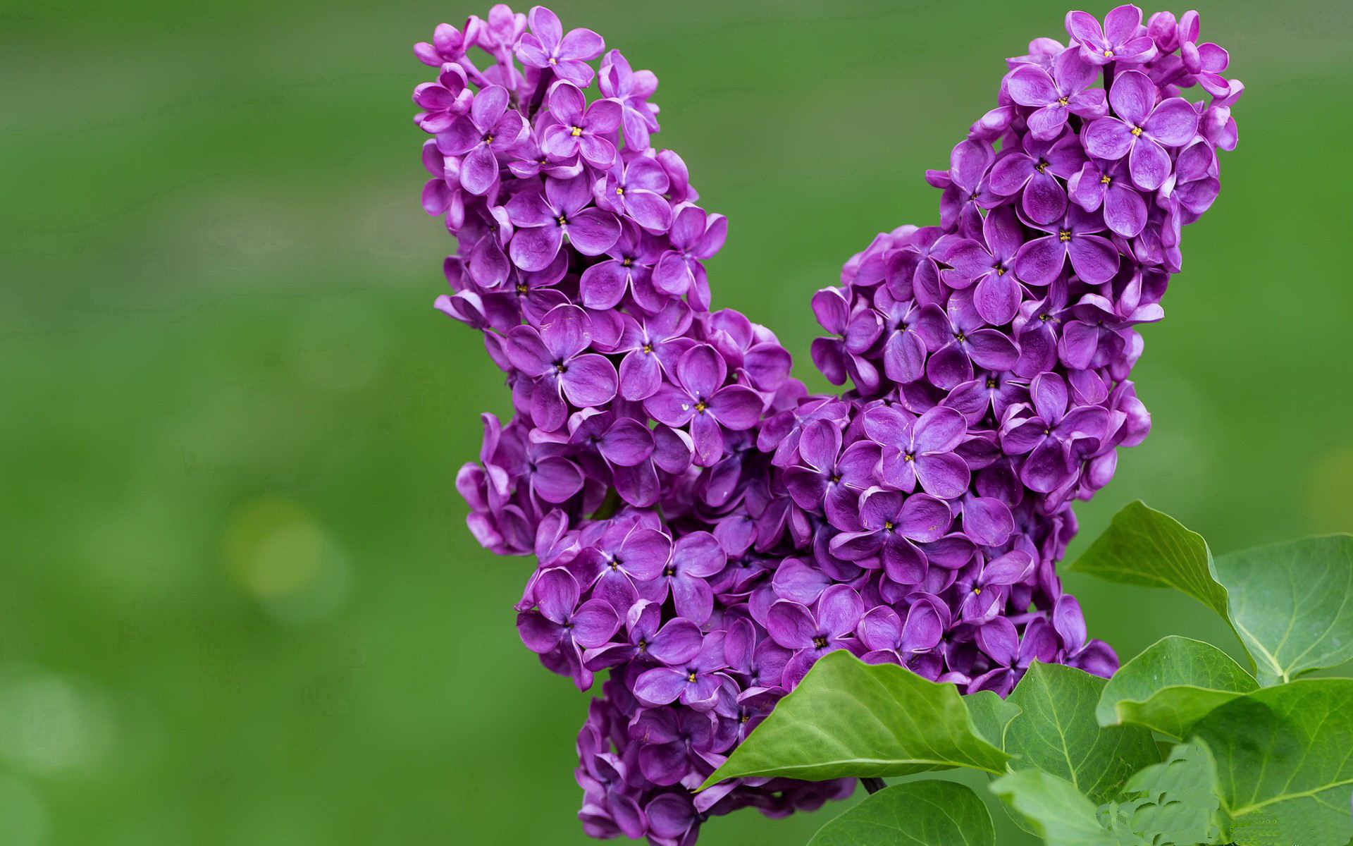 九游下载安装-中国职业联赛决策体系不断完善，行业治理逐步提升，职业联赛比赛规则