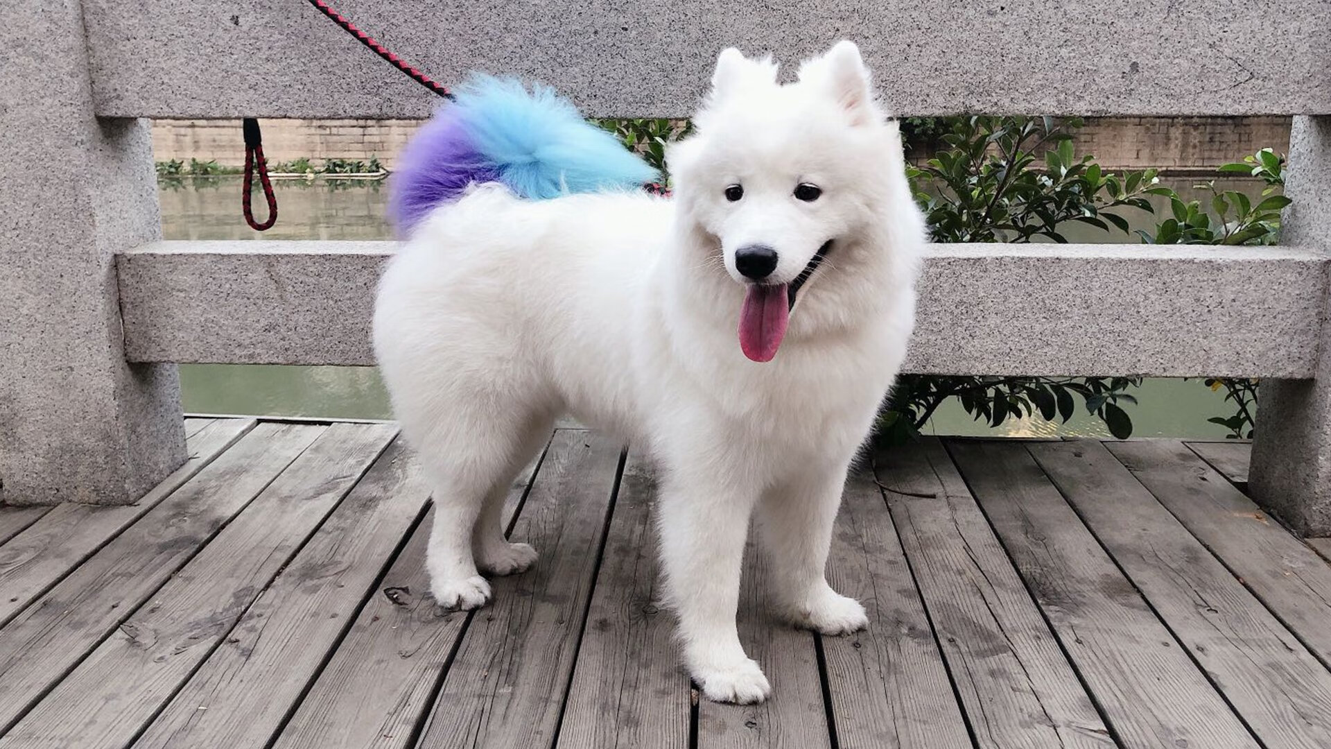 九游app下载中心-史上最年轻“欧冠金靴”得主闪耀全场，最年轻的欧冠冠军